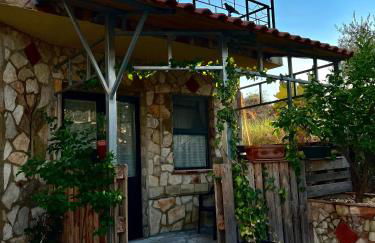 Agriturismo Villa Assunta - Foto 15