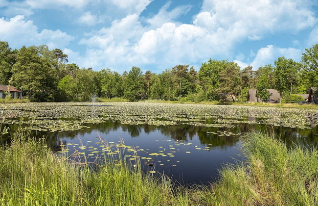Bungalow in Limburg Near Nature Reserves - Photo 22