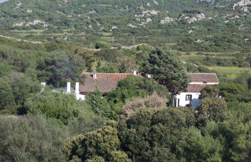 Casa Saltara - Foto 75