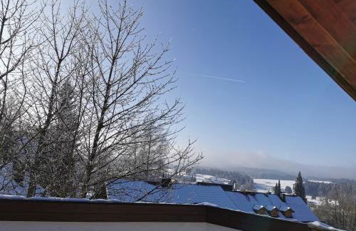 Haus Haidweg - Ferienwohnungen in Haidmühle im Dreiländereck DE-CZ-AT - Foto 19