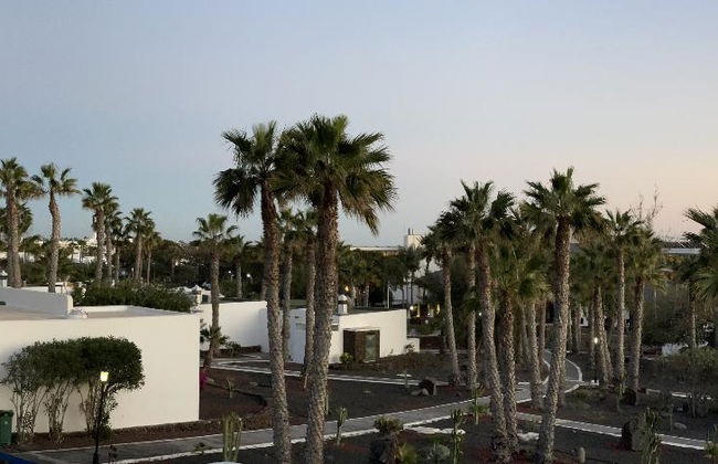 Palmeras Garden - Foto 8