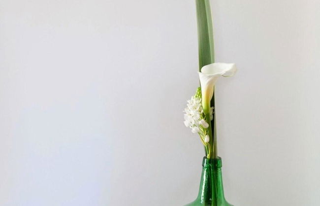 Os Lambráns - Foto 49