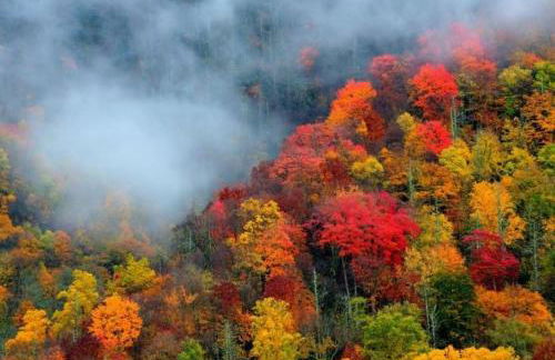 Smokies Hill Top Cabin Mountain Views 2 miles to Town Pet Friendly - Foto 36