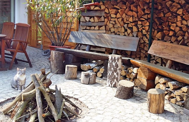 Ferienhaus in Blankenburg - Foto 11