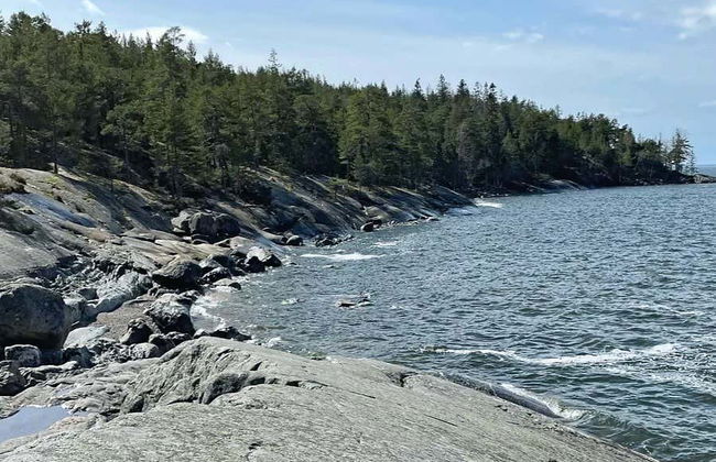 Excursão a Porkkala - Foto 5