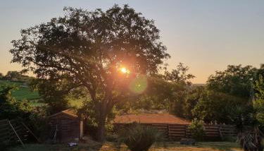 10 min from Futuroscope, contemporary villa! - Foto 2