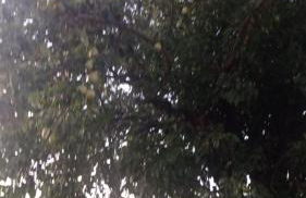 Agriturismo i Due Mori - Foto 10