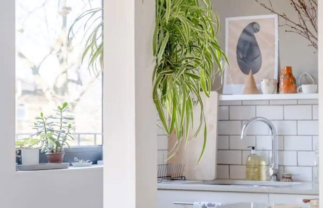 Peaceful 2 Bedroom Flat With Roof Terrace - Hackney - Foto 40