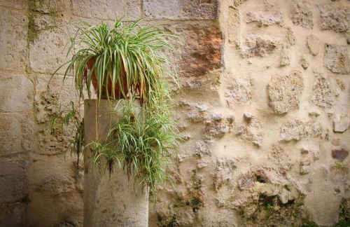 La suite du Duché - Foto 21