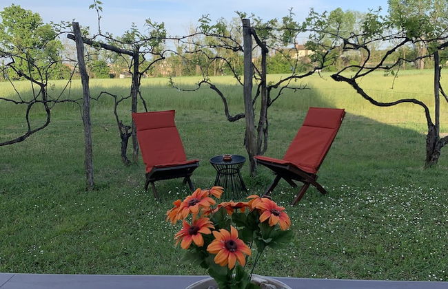 Agriturismo La Terzola 3.0 - Foto 42