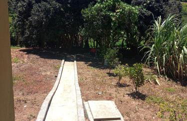 Pé na roça - Foto 18