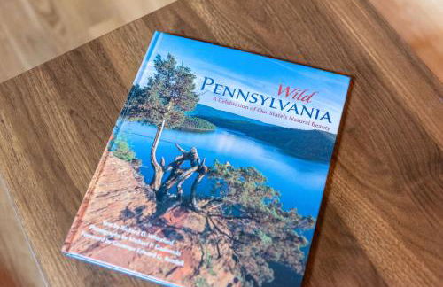 Whispering Pines - Lake Access Hot Tub Fire Pit - Foto 33