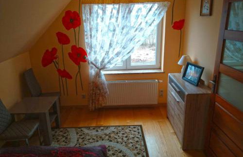 Willa Raj - Apartamenty nad jeziorem KA-BOATS - Foto 79