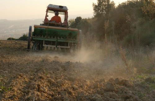 Casa Elisabetta - Foto 49