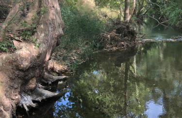 L'Olivier Fleurie Barjols - Foto 20