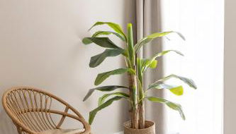 Imperial Apartamentos Puerto - Photo 5