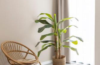 Imperial Apartamentos Puerto - Photo 5