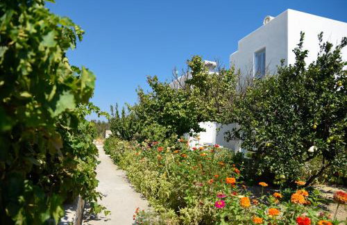 Flora & Agelos Studios - Paros - Photo 40