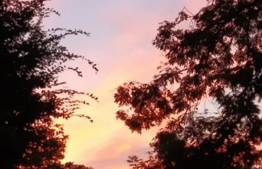 L'adresse à Besançon - Foto 20