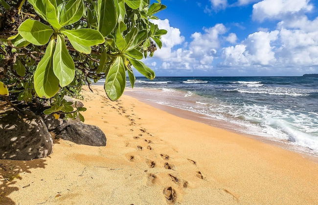 Hale Haena 3 Bedroom Home by RedAwning - Foto 22