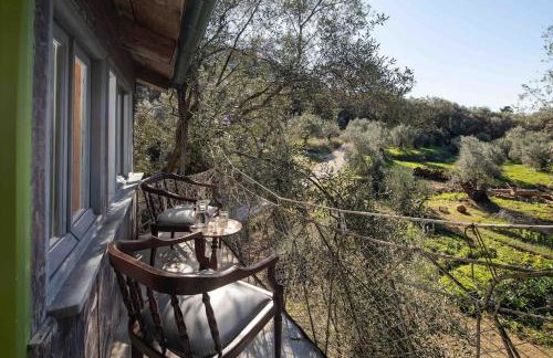 Margaritis's Treehouse - Foto 4