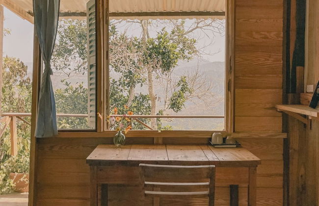 Midori Coffee Farm - Photo 10