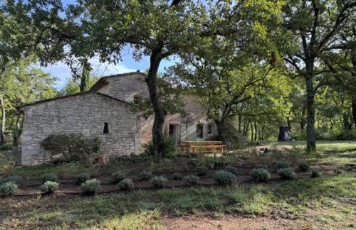 La Bastide des Chênes Lacoste - Photo 56