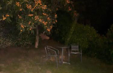 Grand studio - Foto 7