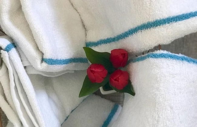 Esterin Royal Park Apartments Eilat - Photo 28