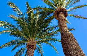 Casa Veranera Vera Costa - Foto 18