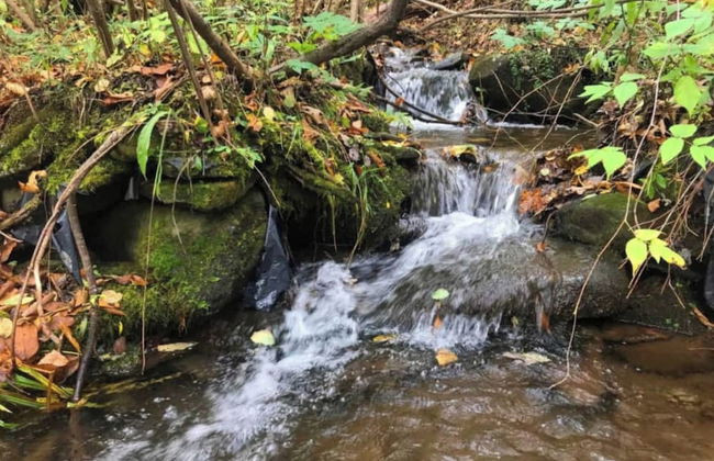 Catskill Retreat - Foto 65