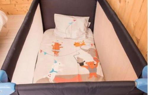 Le pic-vert - Foto 27