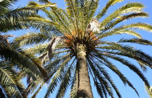 Casa Esmeralda - holiday apartment Costa Blanca - Photo 70