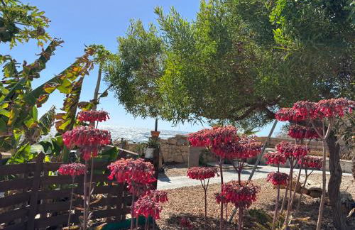 Little Paradise in El Médano - Foto 24