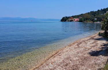 Albert's Place - Photo 19