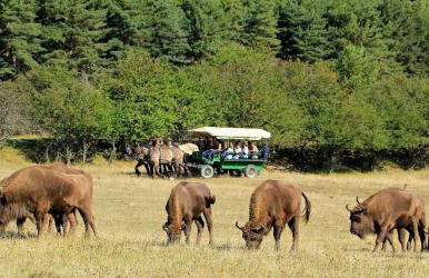 Panorama des Cimes - T3 avec Sauna privé et Vue imprenable sur la Station - Foto 26