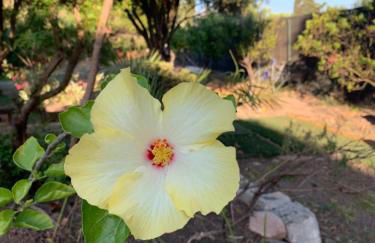 Villa Lidia - Foto 17