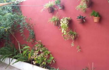 Can Juvimar - Foto 18