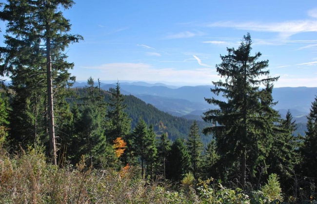 Ferienwohnung im Malerischen Kniebis - Foto 31