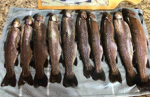 Rainbow Ridge Retreat - Foto 43