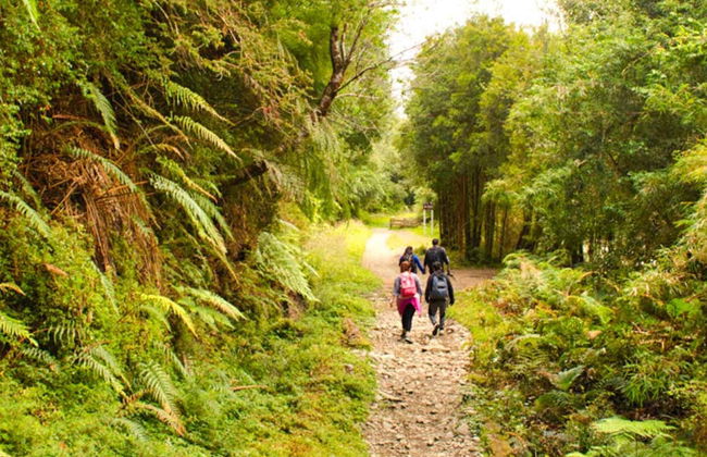 Excursión privada desde Puerto Varas - Foto 1