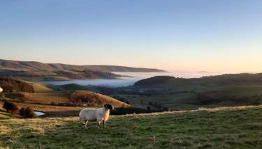 Jasmine Cottage - Foto 4