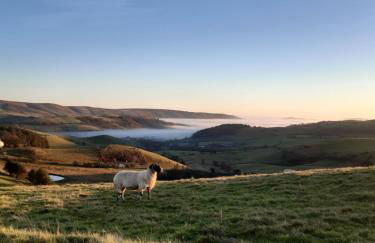 Jasmine Cottage - Foto 4