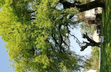 Tenuta del Viandante - Foto 56