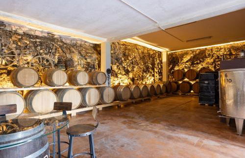 Zardo Winery - Foto 13