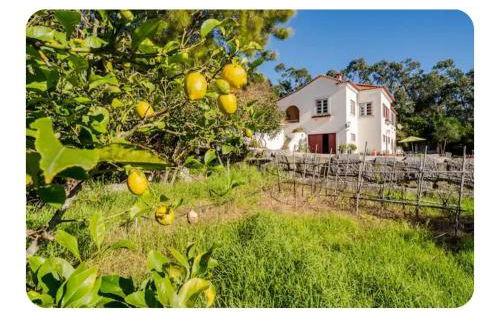 Casa na Floresta - Foto 6