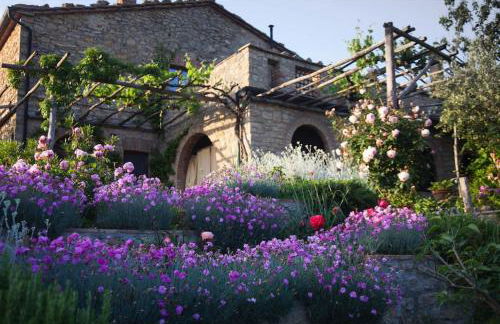 Olivo at Pietraie a cottage with many flowers in the Valley - Foto 21