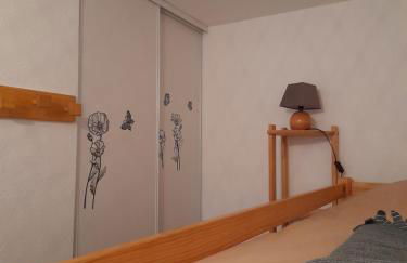 T2bis, HYPER CENTRE FACE LES THERMES - Foto 6