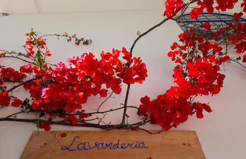 Agriturismo Palas De Serra Country Resort - Foto 62