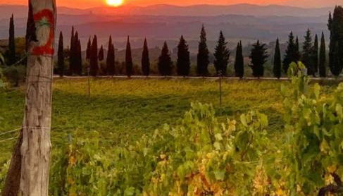 La finestra sul Luca - Foto 2